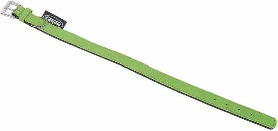 Produktbild von Nobby Hundehalsband South aus Leder in Grün mit 38-44 cm Halsumfang