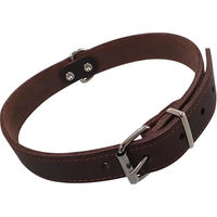 Produktbild von Nobby Hundehalsband Tabil aus Leder braun Größe L