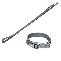 Produktbild von Nobby Hundehalsband und Leine Set Mini Grau XS