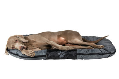 Nobby Hundekissen Classic RENO Schwarz aus Nylon 113 x 83 x 12 cm – Bild 1 von 7