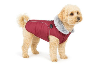 Nobby Hundemantel Alva rot wasserabweisend mit Fleece-Futter für den Winter – Bild 1 von 5