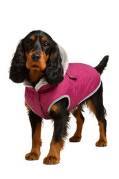 Nobby Hundemantel Polar wasserabweisend lila – Bild 1 von 4