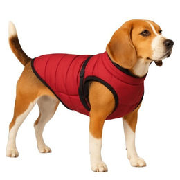 Nobby Hundemantel Salus 2 in 1 Wintermantel wasserabweisend bordeaux rot – Bild 1 von 3