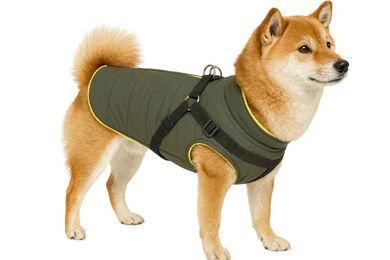 Nobby Hundemantel Sobak 2in1 Wintermantel wasserabweisend grün gelb – Bild 1 von 9