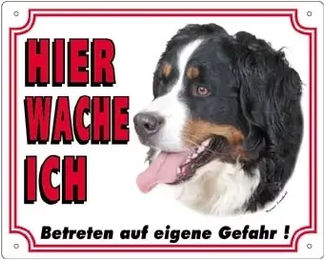 Nobby Hundeschild Berner Sennenhund – Bild 1 von 1