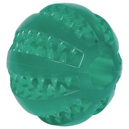 Produktbild von Nobby Hundespielzeug Dental Ball TPR Grün