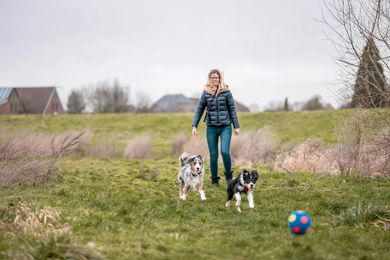 Nobby Hundespielzeug Latex Fußball Bunt Größe S – Bild 1 von 5