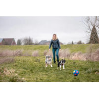 Produktbild von Nobby Hundespielzeug Latex Fußball Bunt Größe S