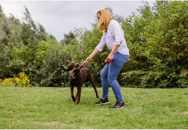 Nobby Hundespielzeug Spielseil aus Baumwolle bunt - 1000 g – Bild 1 von 3