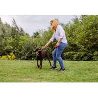 Produktbild von Nobby Hundespielzeug Spielseil aus Baumwolle bunt - 1000 g