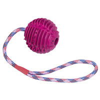 Produktbild von Nobby Hundespielzeug Vollgummi Ball mit Seil Lila - 7,5 cm