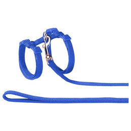 Nobby Katzengarnitur aus Nylon in Blau mit 1,2 m Leine – Bild 1 von 4