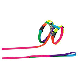 Nobby Katzengarnitur aus Nylon in Regenbogenfarben Größe XS – Bild 1 von 4