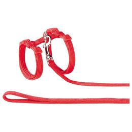 Nobby Katzengarnitur aus Nylon in Rot – Bild 1 von 3