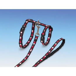 Nobby Katzengarnitur XL Heart Nylon Schwarz für große Katzen 13mm Breite – Bild 1 von 3