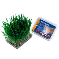 Produktbild von Nobby Katzengras zur Unterstützung der Verdauung 100 g - 100 g