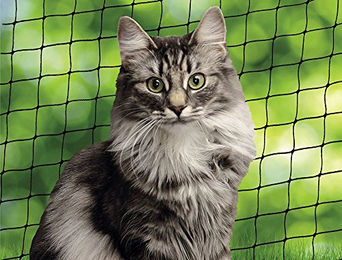 Nobby Katzenschutznetz schwarz Größe S aus Kunststoff - 6 m – Bild 1 von 4