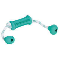 Produktbild von Nobby Kauspielzeug Dental Fun Vollgummi Stick mit Seil zur Zahnpflege für Hunde in Grün Türkis Weiß - 1 Stk.