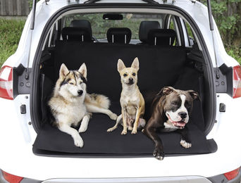 Nobby Kofferraum Schutzdecke für Hunde aus Polyester in Schwarz wasserabweisend 173 x 153 cm – Bild 1 von 7
