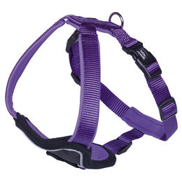 Nobby Komfort Geschirr Classic Preno für Hunde aus Nylon lila Größe L 50-60cm – Bild 1 von 2