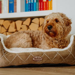 Nobby Komfortbett Ceno Hundebett aus Plüsch oval beige braun Größe L – Bild 1 von 6