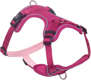 Nobby Komfortgeschirr Mailo für Hunde Himbeere Rosa Größe M – Bild 1 von 6