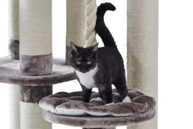 Nobby Kratzbaum Fredo Cappuccino für Katzen mit Sisal in Beige und Grau 85 x 50 x 158 cm – Bild 1 von 3