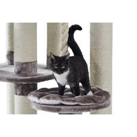 Produktbild von Nobby Kratzbaum Fredo Cappuccino für Katzen mit Sisal in Beige und Grau 85 x 50 x 158 cm