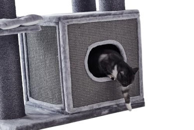 Nobby Kratzbaum Yanko für Katzen Grau mit Sisal 80 x 50 x 159 cm – Bild 1 von 4