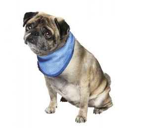 Nobby Kühl-Halstuch für Hunde in Blau Größe S aus PVA-Material – Bild 1 von 4