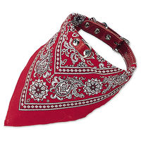 Produktbild von Nobby Lederhalsband mit Tuch Rot 55 cm