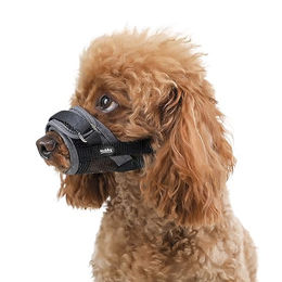 Nobby Maulkorb für Hunde verstellbar aus Nylon grau Größe M – Bild 1 von 4