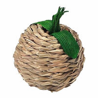 Produktbild von Nobby Nager Aktivspielzeug Apfel aus Seegras 7 x 9 cm - 9 x 7 cm