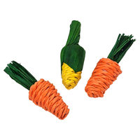 Produktbild von Nobby Nager-Aktivspielzeug Karotte aus Naturmaterial in Orange