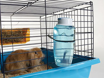 Nobby Nagertränke Source Trinkflasche aus Edelstahl 1000 ml Silber Transparent - 1000 ml – Bild 1 von 5