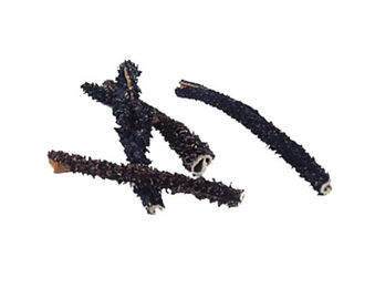 Nobby Nature Rinderpansen Monoprotein Hundesnack 250 g - 250 g – Bild 1 von 3