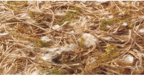 Produktbild von Nobby Nistmaterial aus Baumwolle für Vögel in Braun