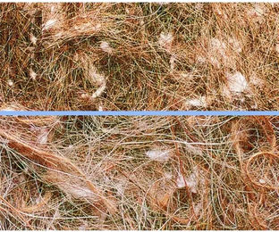Produktbild von Nobby Nistmaterial für Vögel aus Naturmaterial in Braun