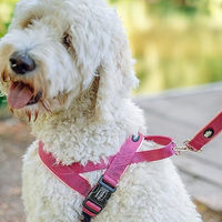 Produktbild von Nobby Norwegergeschirr Classic Preno für Hunde Rosa Größe L 38-50 cm aus Nylon und Neopren wasserabweisend
