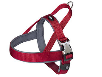 Nobby Norwegergeschirr Classic Preno Royal für Hunde, Rot, Größe L, wasserabweisend mit Neopren – Bild 1 von 3