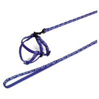 Produktbild von Nobby Nylon Garnitur für Kaninchen Carrot Blau mit 1m Leine