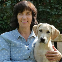 Produktbild von Nobby Pet Apportieren Buch für Hunde