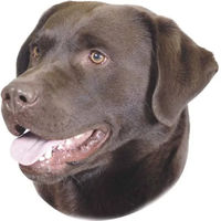 Produktbild von Nobby Pet Aufkleber Labrador