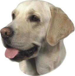 Nobby Pet Aufkleber Labrador – Bild 1 von 1