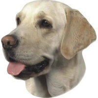 Produktbild von Nobby Pet Aufkleber Labrador