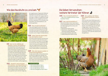 Nobby Pet Buch Hühner 500 Fragen und 500 Antworten – Bild 1 von 3