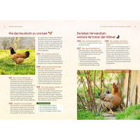 Produktbild von Nobby Pet Buch Hühner 500 Fragen und 500 Antworten