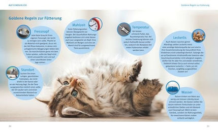 Nobby Pet Buch Katzen Gesund Ernähren für alle Altersstufen – Bild 1 von 3