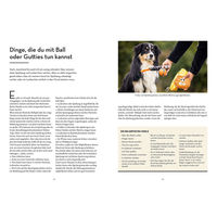 Produktbild von Nobby Pet Buch Raketenstart Rückruf aus Papier in Weiß und Türkis