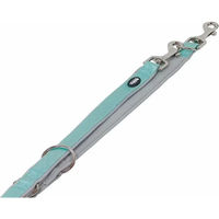 Produktbild von Nobby Pet Classic Preno Hundeleine aus Nylon in Mint Größe XS-S - 2 m